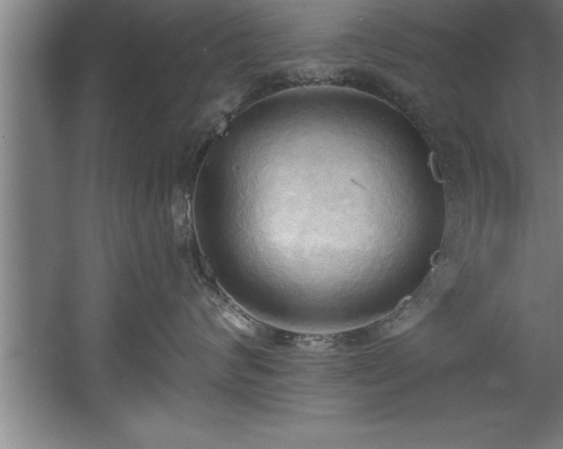 X0000060560624200511070949