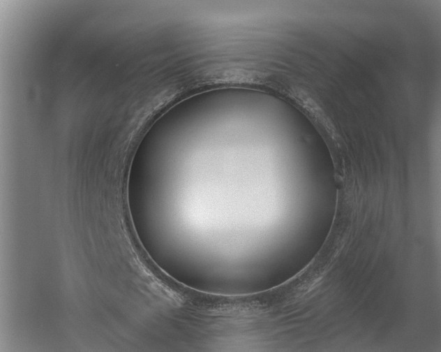 X0000060560625200511070948