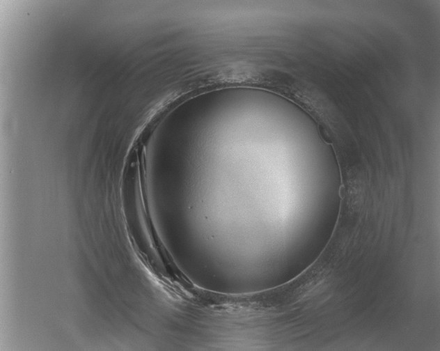 X0000060560626200511070948