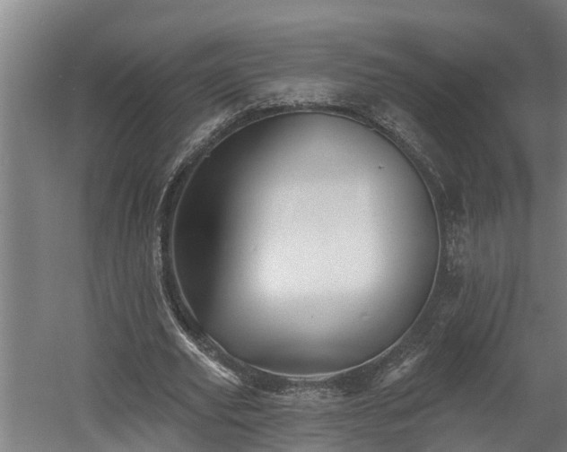 X0000060560629200511070948