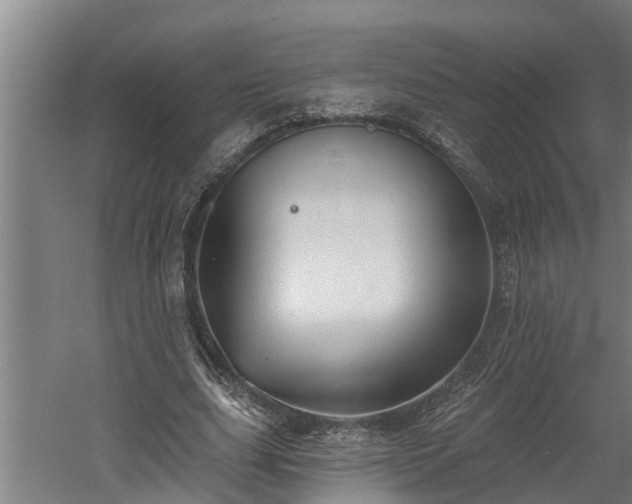 X0000060560631200511070948