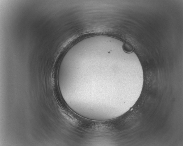 X0000060560632200511070948