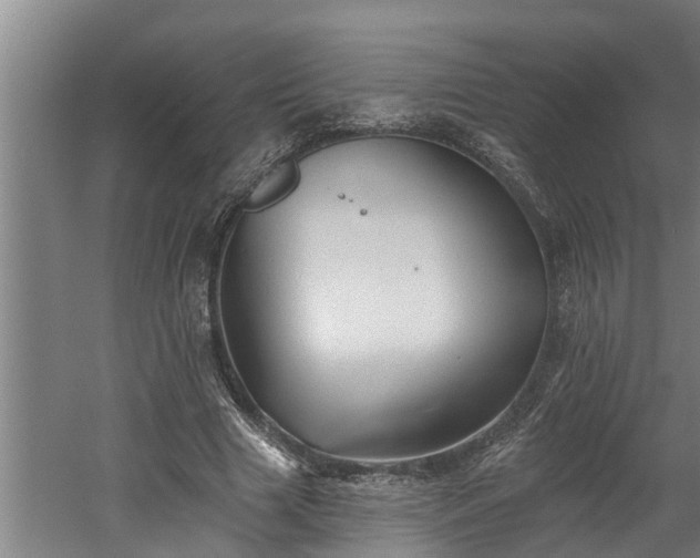 X0000060560633200511070948