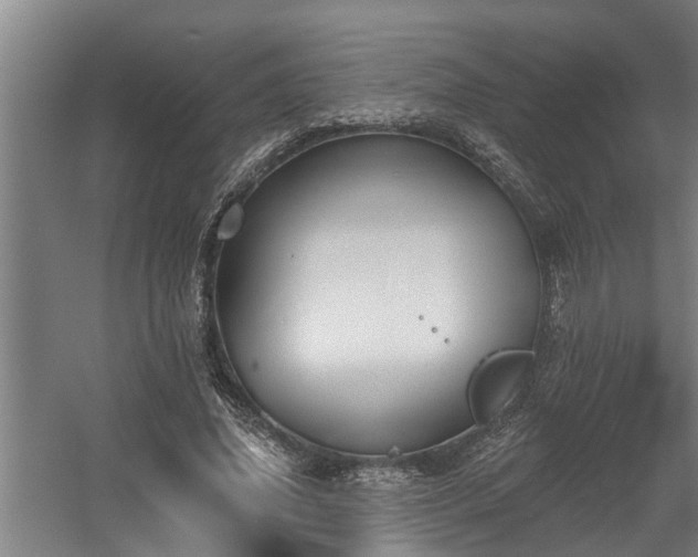 X0000060560636200511070948