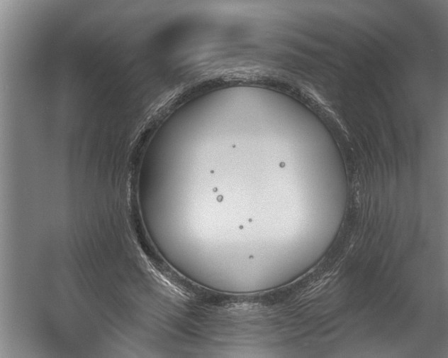 X0000060560637200511070948