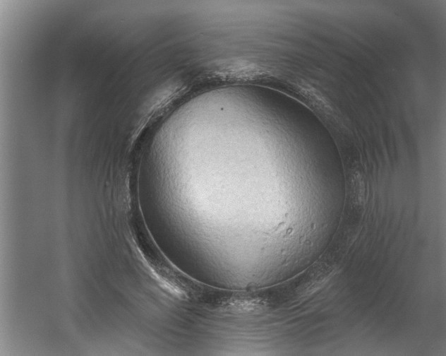 X0000060560638200511070948