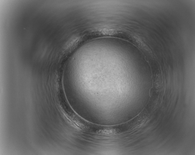 X0000060560639200511070948