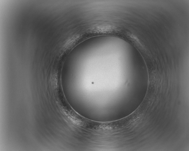 X0000060560640200511070948