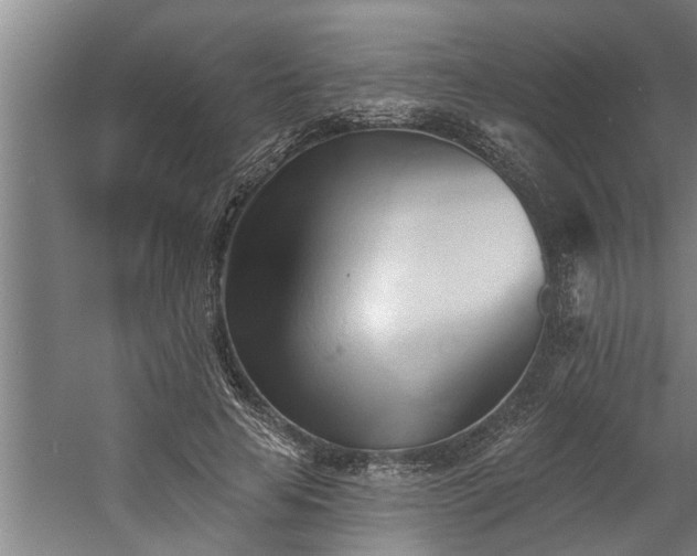 X0000060560641200511070948