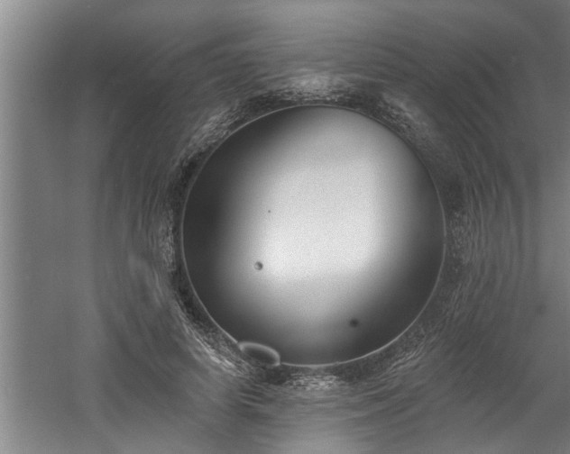 X0000060560642200511070948