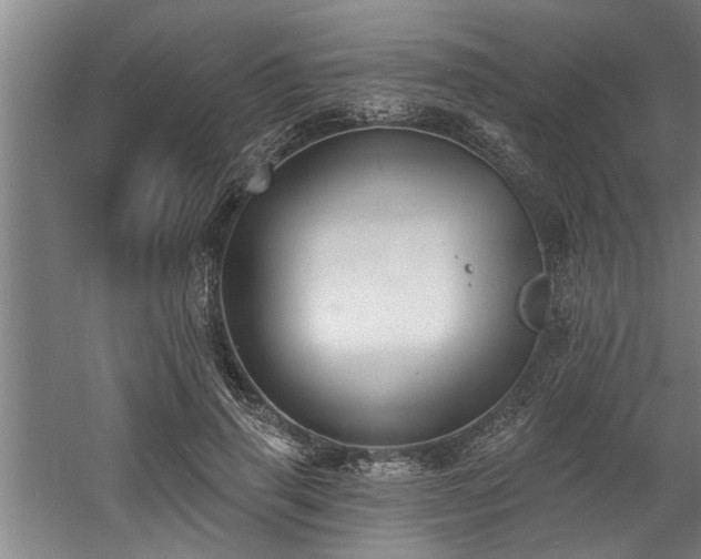 X0000060560645200511070949