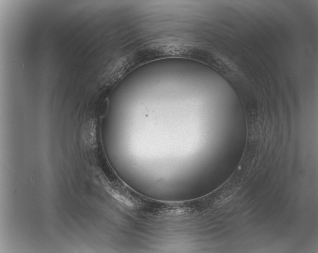 X0000060560646200511070949