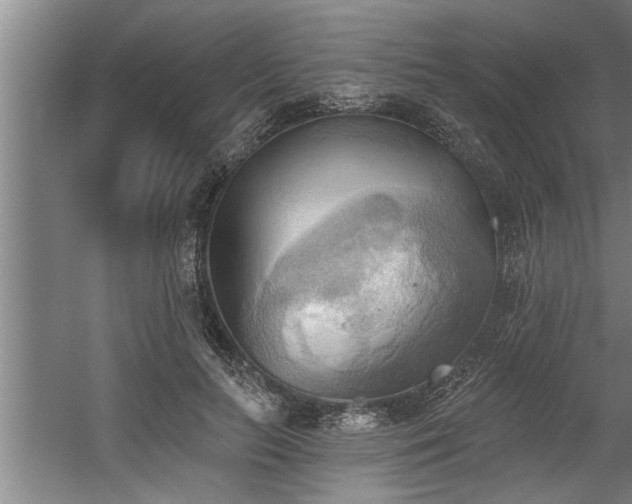 X0000060560647200511070949