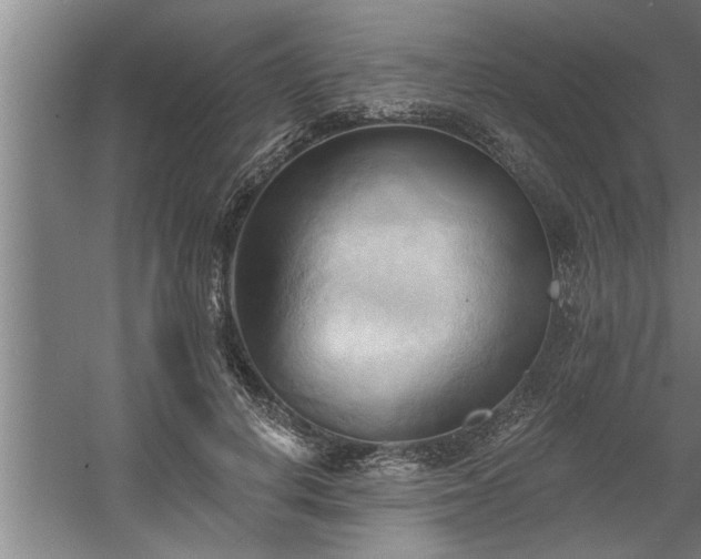 X0000060560648200511070949