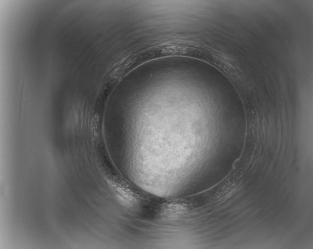 X0000060560649200511070949