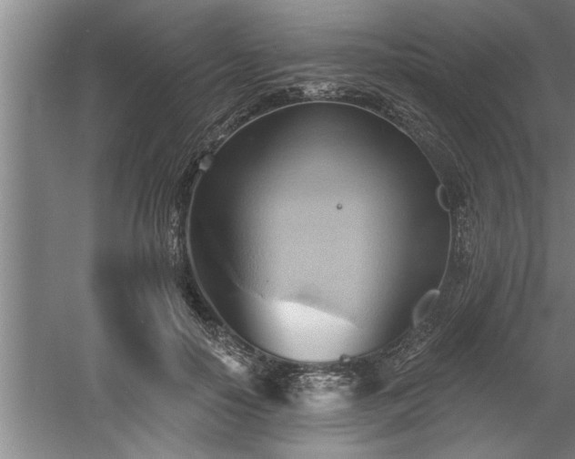 X0000060560650200511070949