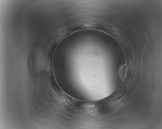 X0000060560651200511070949