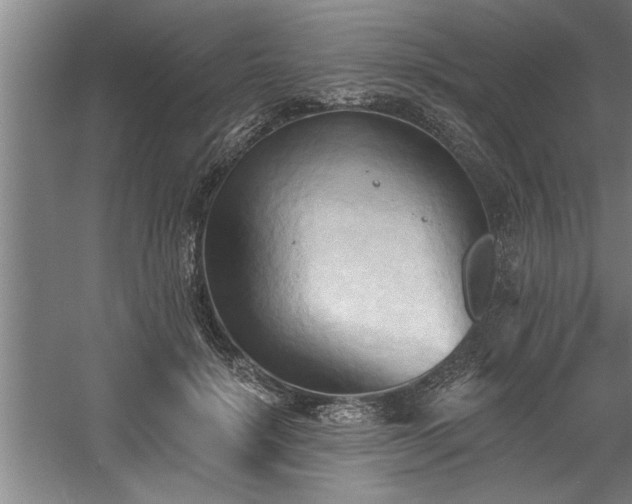 X0000060560652200511070949