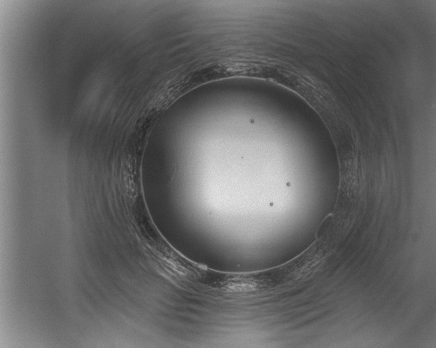 X0000060560653200511070949