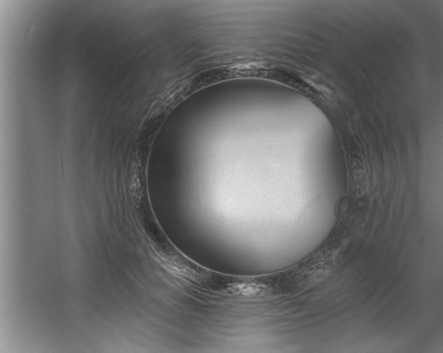 X0000060560654200511070949