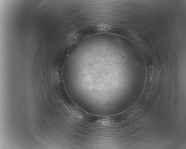 X0000060560655200511070949