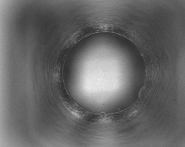 X0000060560656200511070949