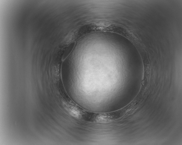 X0000060560657200511070949