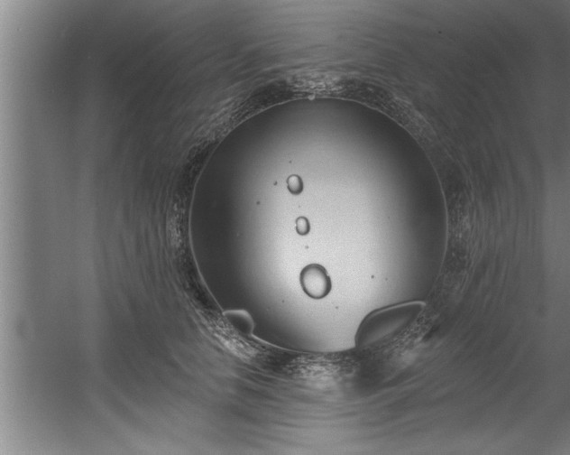 X0000060560658200511070949