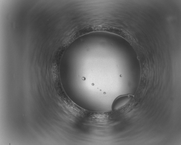 X0000060560659200511070949