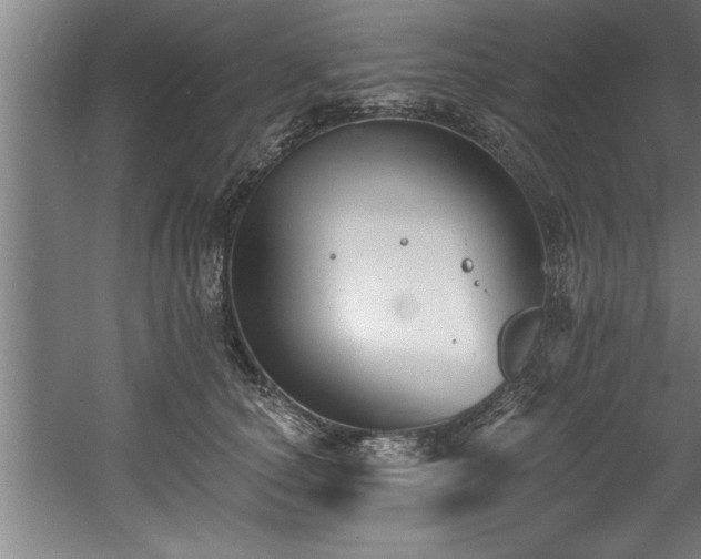 X0000060560660200511070949