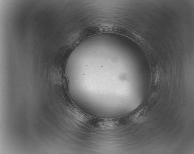 X0000060560661200511070949