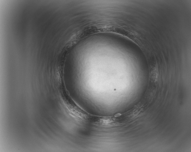 X0000060560662200511070949