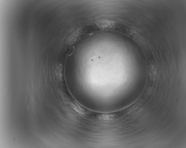 X0000060560664200511070949