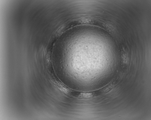 X0000060560665200511070949