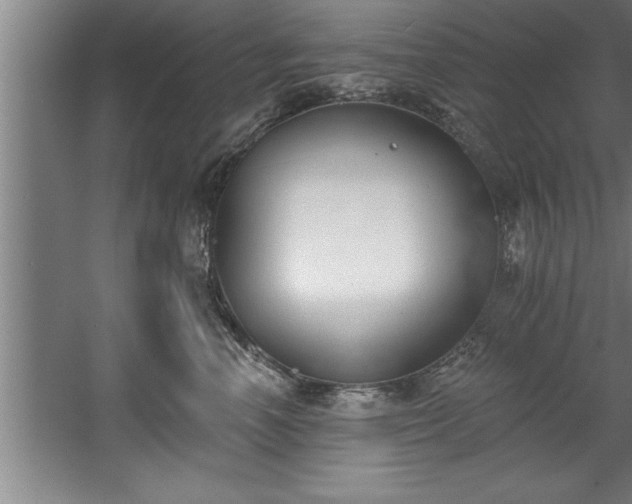 X0000060560666200511070949