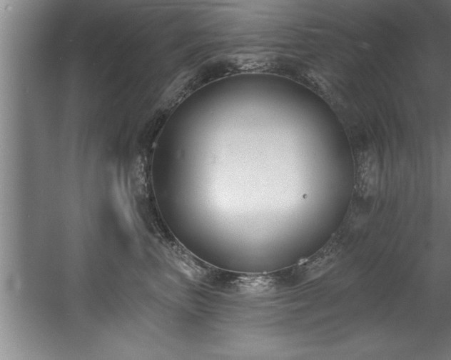 X0000060560667200511070949