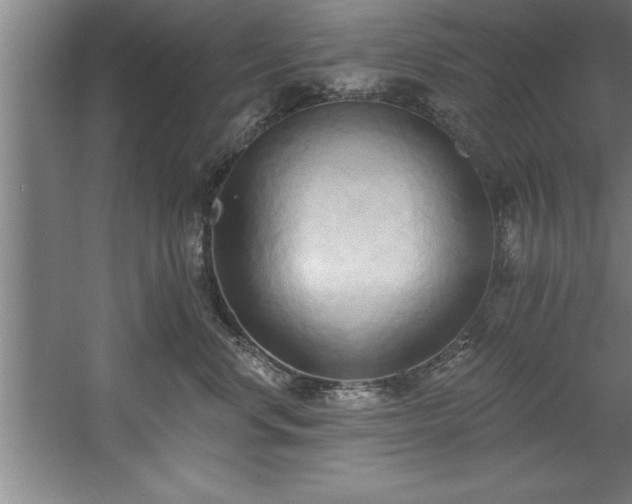 X0000060560668200511070949