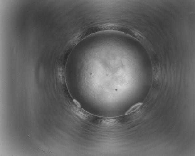 X0000060560669200511070949