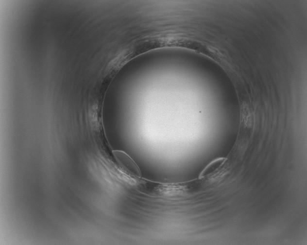 X0000060560670200511070949