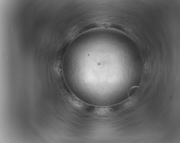 X0000060560671200511070949