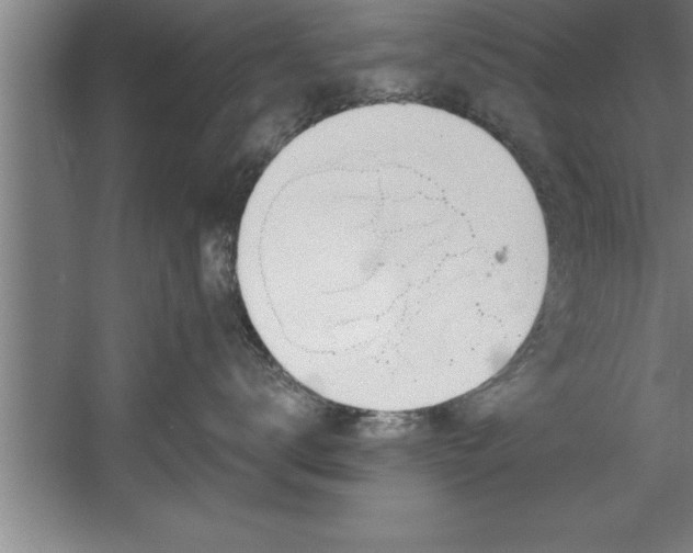 X0000060560672200511070949