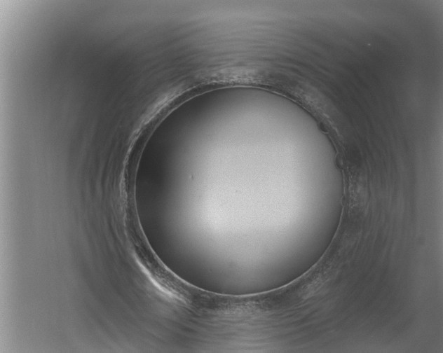 X0000060560674200511070948