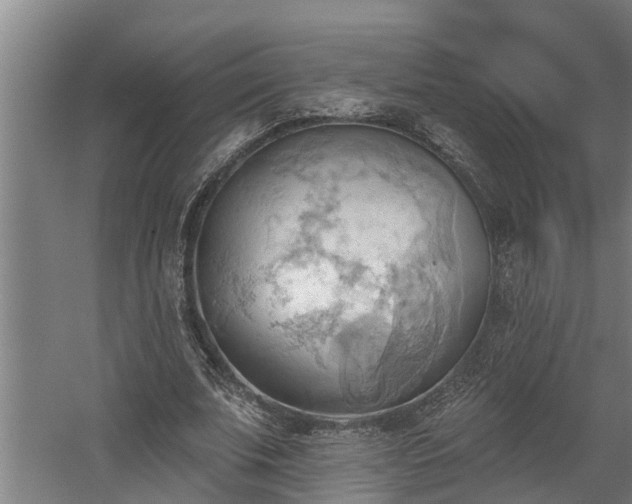 X0000060560679200511070948