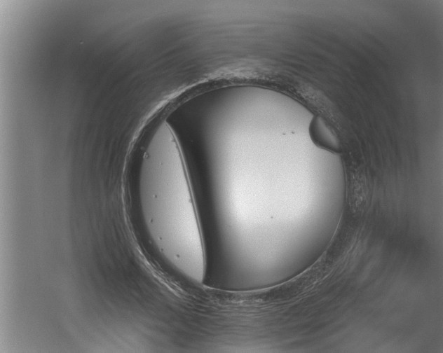 X0000060560680200511070948