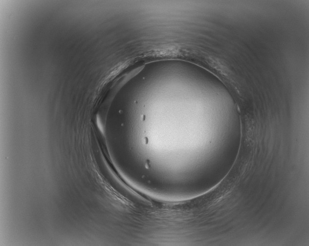 X0000060560681200511070948