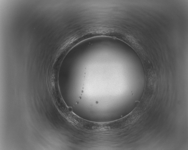 X0000060560683200511070948