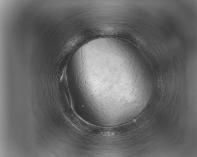 X0000060560687200511070948