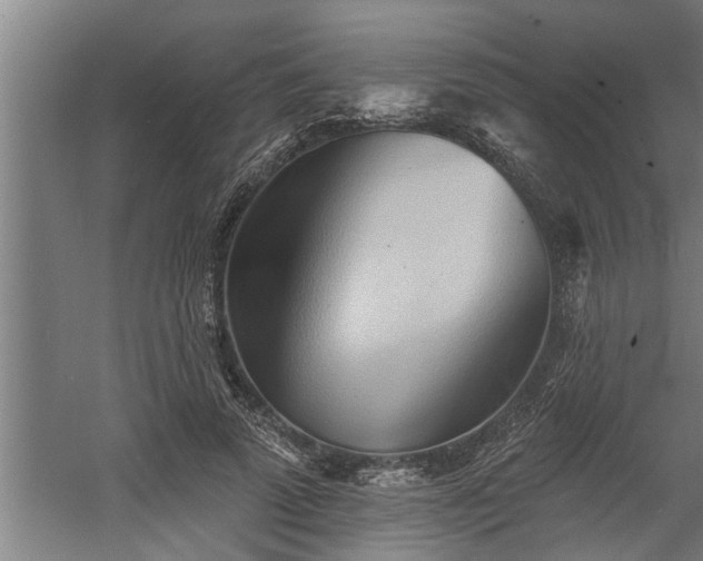 X0000060560689200511070948