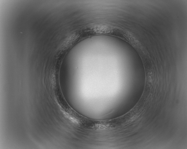 X0000060560690200511070948