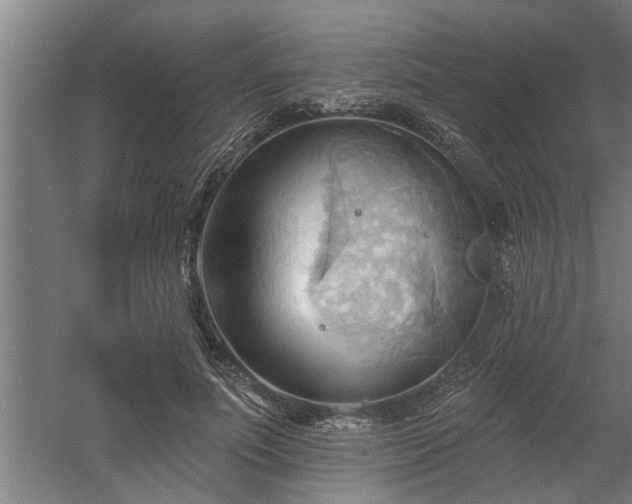 X0000060560691200511070948